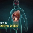 중년 건강의 적, 복부비만을 없애라 이미지