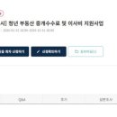 청년부동산중개 이미지