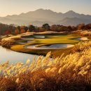 해운대컨트리클럽 | 부산 명문 골프장 해운대컨트리클럽 완벽 후기 🏌️ 로얄·실크·골든 3개 코스 총정리 + 야간 라운딩까지...