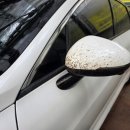 양우세차장 이미지