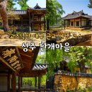 문화재 법령을 통해서 보는 우리의 문화재 이야기 | 대구 근교 여행 성주 가볼만한곳 한개마을 돌담길