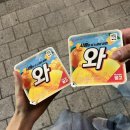 지에스25유성대온장 이미지