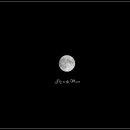 Fly Me to the Moon 티스토리