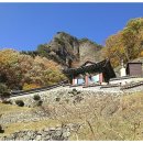 법수치통나무산장 이미지