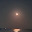 씨엔문 | 거제도펜션추천｜흥남해수욕장 백사장 바로 앞 오션뷰 씨앤문펜션 후기