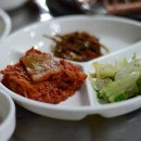 모이세포차 이미지