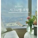 비바스호텔 | 잠실 시그니엘 호텔 스위트룸 후기ㅣ시그니엘 라운지 바 운영시간, 메뉴, 샴페인 무제한