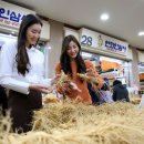 인삼 이미지