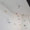 진주어린이환경박물관 이미지