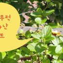 이화마을 작은도서관 이미지