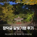 역사기행 코스 | 창덕궁 달빛기행 후기, 추첨 당첨 후 주말 예약해 직접 다녀왔어요
