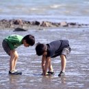 간월도관광지 이미지