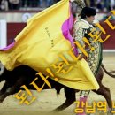 강남역노른자공인중개사사무소 이미지