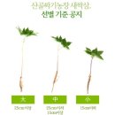 산골짜기농장 이미지