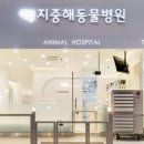 지중해동물병원 이미지