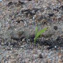 포낙보청기 고양덕양센터 이미지