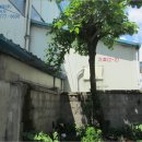 남원용성초등학교 이미지