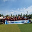 오성면 숙성 체육공원 축구장 네이버블로그