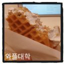 와플대학하계장미캠퍼스