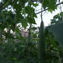 장현농장 이미지