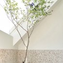 우리타일 이미지