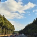 일도목장 | 2025.11 제주여행(2): 여행 이꼬르 날씨 (우도, 호캉스, 아침미소목장)