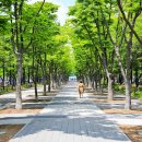 둔산북로90번길 이미지