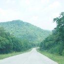 금룡주유소 이미지