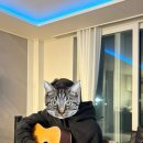 스테이삼랑 이미지