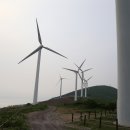 매봉산 정상 이미지