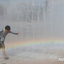 동부복사 이미지