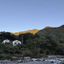 퍼니멍멍 이미지