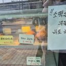 은마꽈배기지축