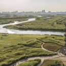 갯골생태공원 이미지