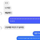 멍멍이와 야옹이 나들이 | 지방인의 서울 자취 일상 블로그 ① - 24년 6월