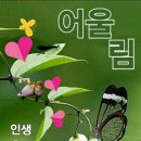 그래서.어쩌라고. 이미지