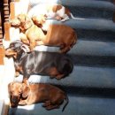 모월모일 이미지