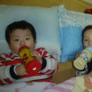 선돌민박 이미지