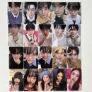 엑스파일오락실 | 행복한 돼지로 살끼야