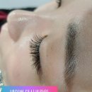 더시크라인 이미지