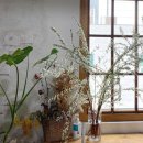 화훼장식기능사(초급) 이미지