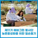 디지탈에버그린 이미지