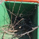 옥이네농장 이미지