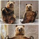 곰요가 - 하동군 악양동로 382 | 곰요가