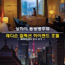 A Room With A View | 상하이 래디슨 컬렉션 하이랜드 호텔 동방명주뷰 최저가 예약 조식 후기