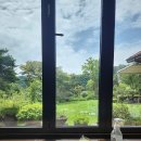 꽃마실 | 🌸 꽃마실 족욕카페 후기｜숲속의 집에서 꽃차 마시며 제대로 힐링