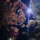 두류노래연습장 | 일상 3탄 - 울긋불긋 단풍으로 물든 산 / 코인스 동전노래연습장 100점 / 가그린 오리지널 / 경상감영공원
