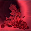 단아산부인과의원 이미지