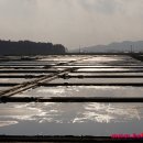 풍경(오월의 이야기 이미지