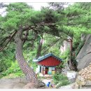 12월12일[목요일] 경남 산청군 산청읍 대성산(593m)둔철산(823m)산행 이미지